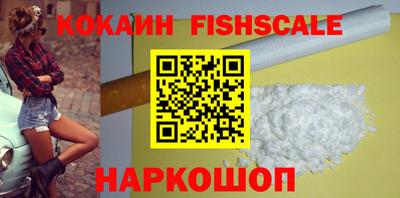 крисы Славгород