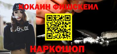 крисы Славгород