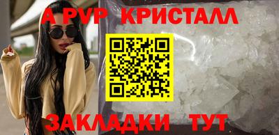 крисы Славгород