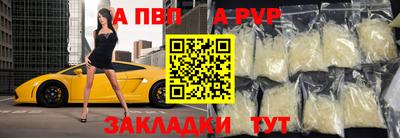 крисы Славгород
