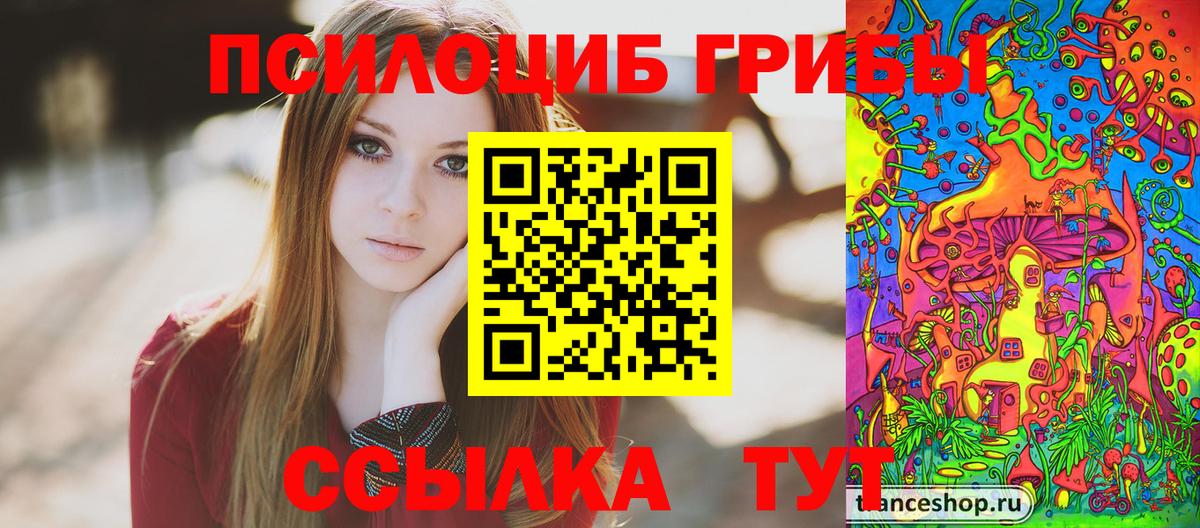 Галлюциногенные грибы Cubensis Балашиха